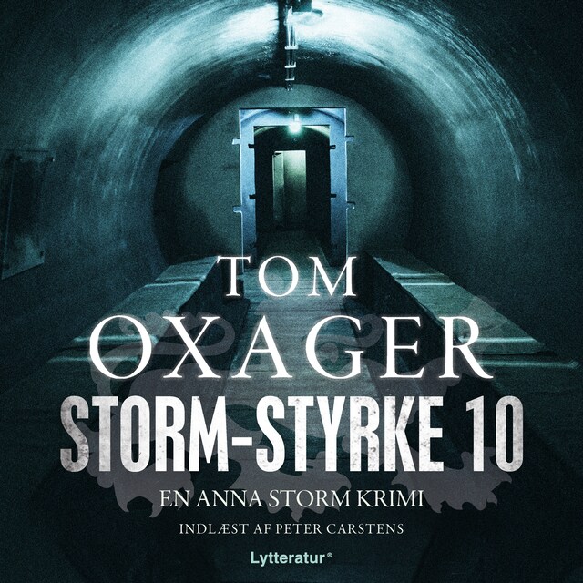 Book cover for Storm-styrke 10