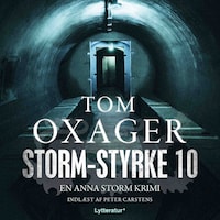 Storm-styrke 10