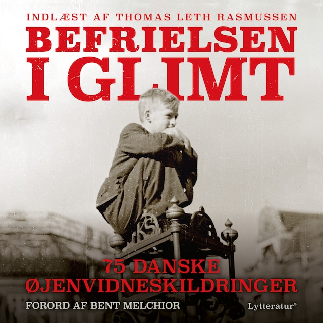 Buchcover für Befrielsen i glimt