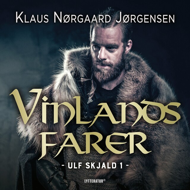 Book cover for Vinlandsfarer