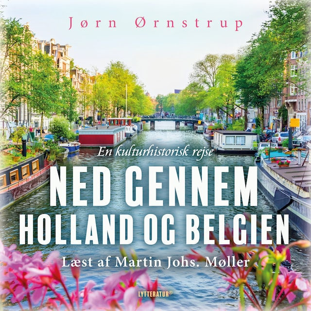 Book cover for Ned gennem Holland og Belgien