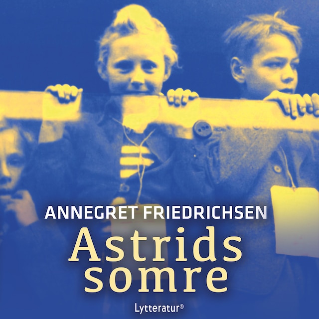 Book cover for Astrids somre