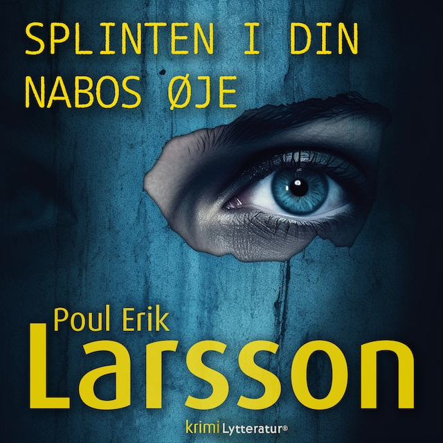 Book cover for Splinten i din nabos øje