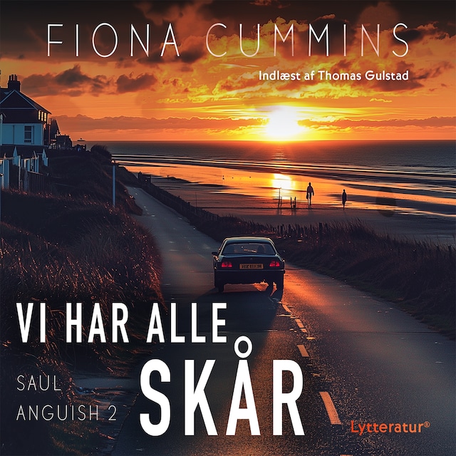 Book cover for Vi har alle skår