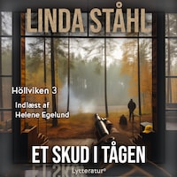 Et skud i tågen