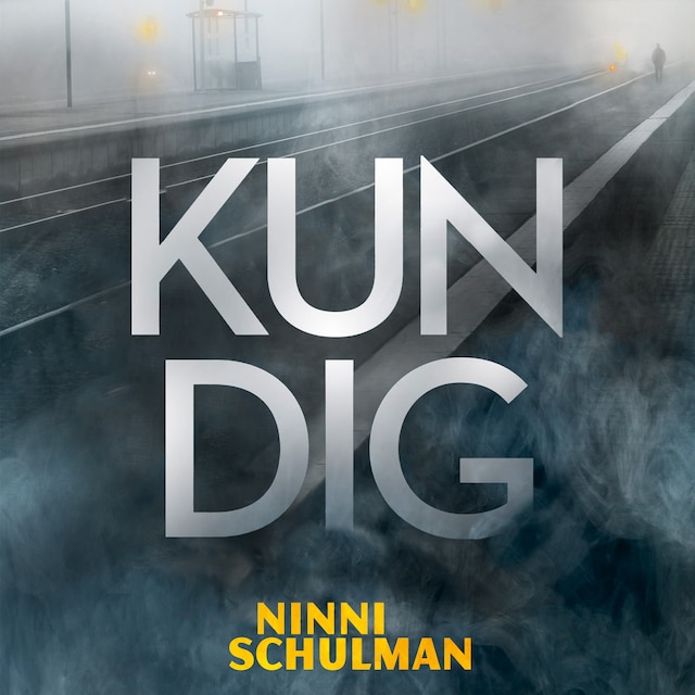 Book cover for Kun dig