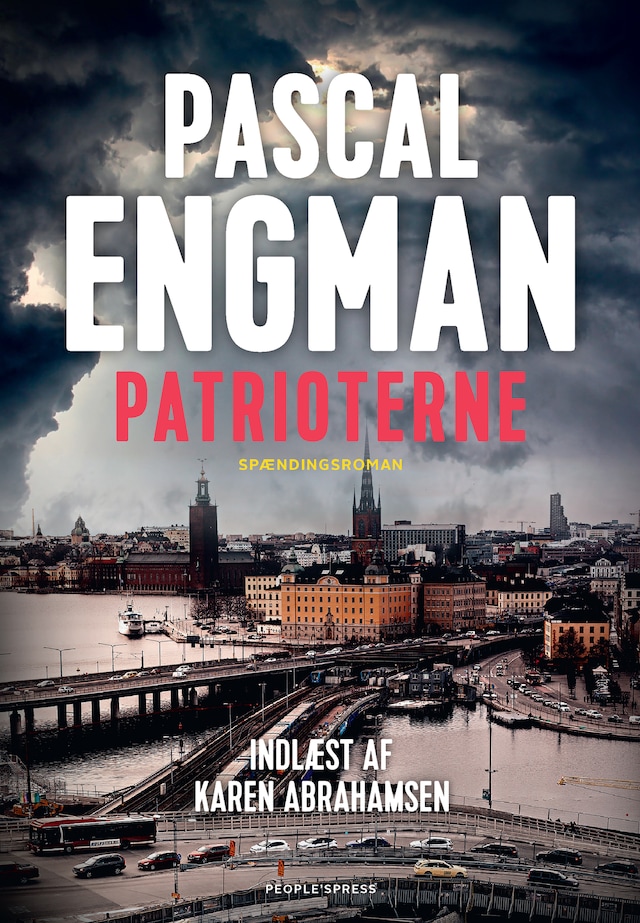 Book cover for Patrioterne