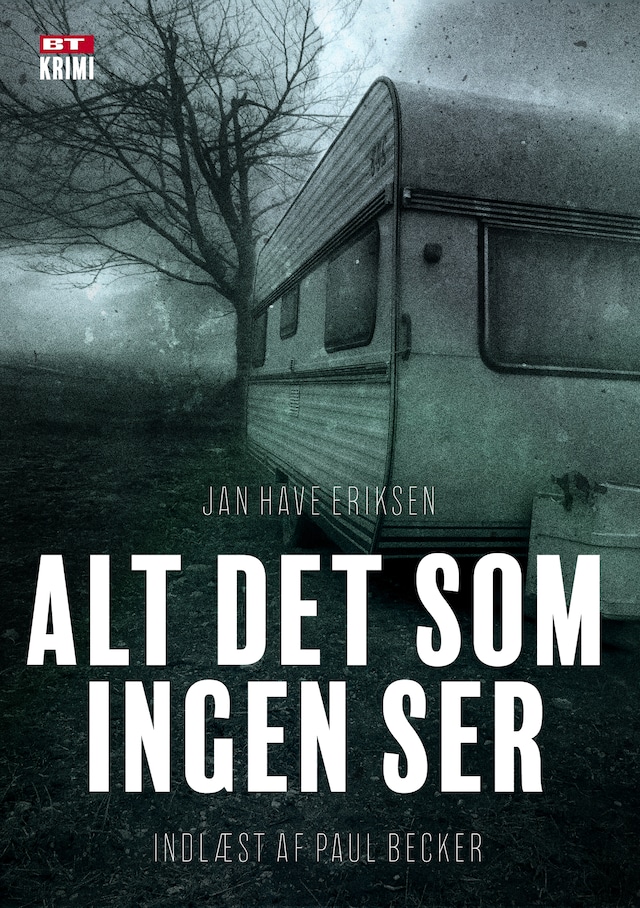 Book cover for Alt det som ingen ser