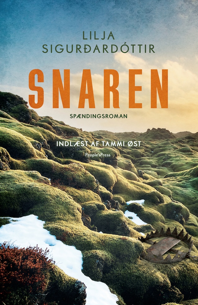 Book cover for Snaren