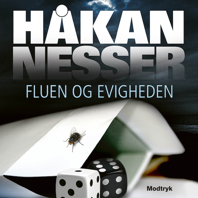 Buchcover für Fluen og evigheden