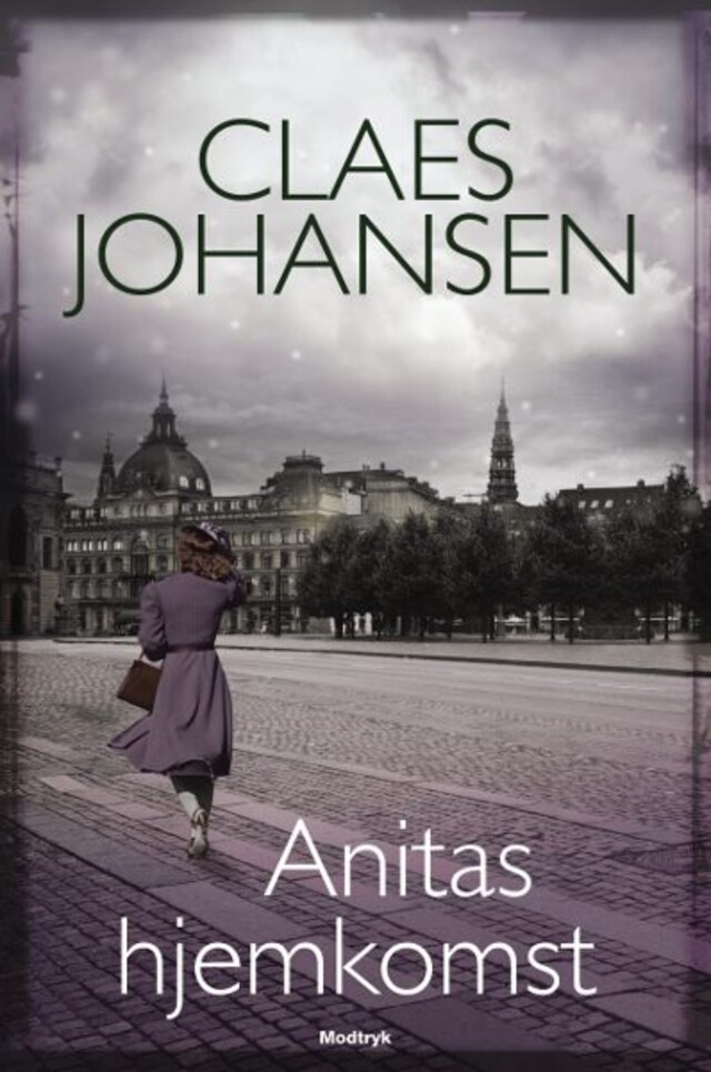 Book cover for Anitas hjemkomst