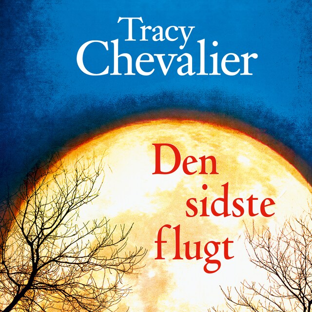 Book cover for Den sidste flugt