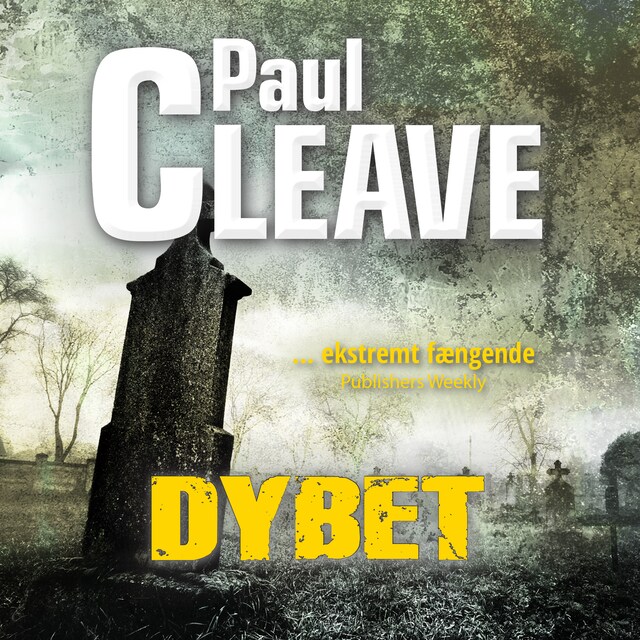 Book cover for Dybet