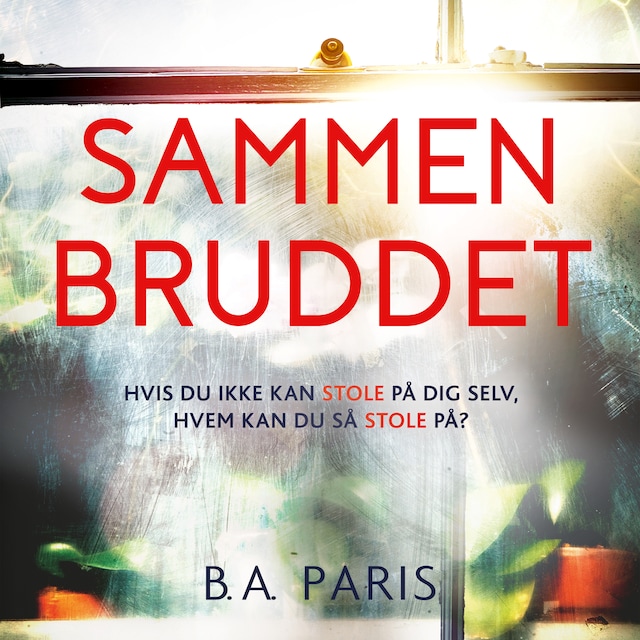 Book cover for Sammenbruddet