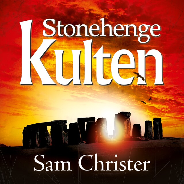 Buchcover für Stonehenge kulten