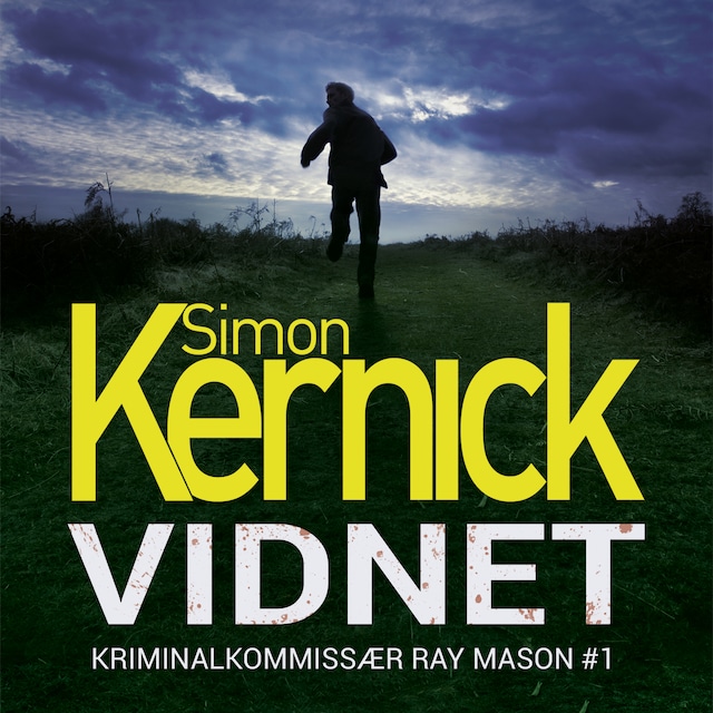 Book cover for Vidnet