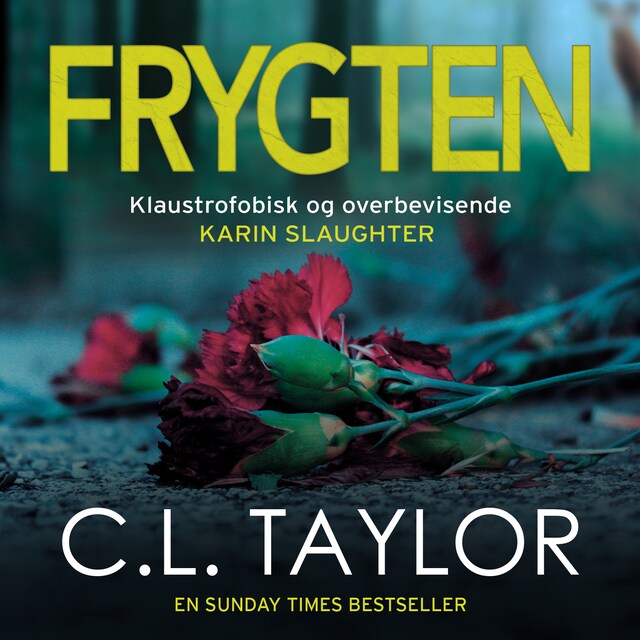 Book cover for Frygten