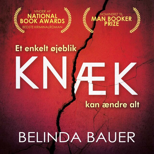 Book cover for Knæk