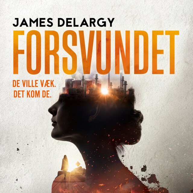 Book cover for Forsvundet