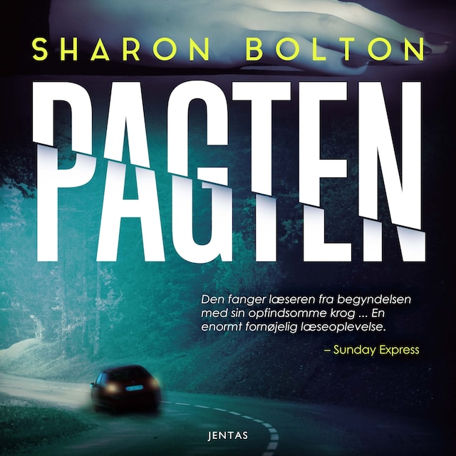 Book cover for Pagten