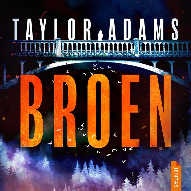 Book cover for Broen