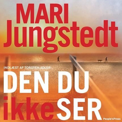 Den du ikke ser bookCoverFor