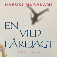 En vild fårejagt
