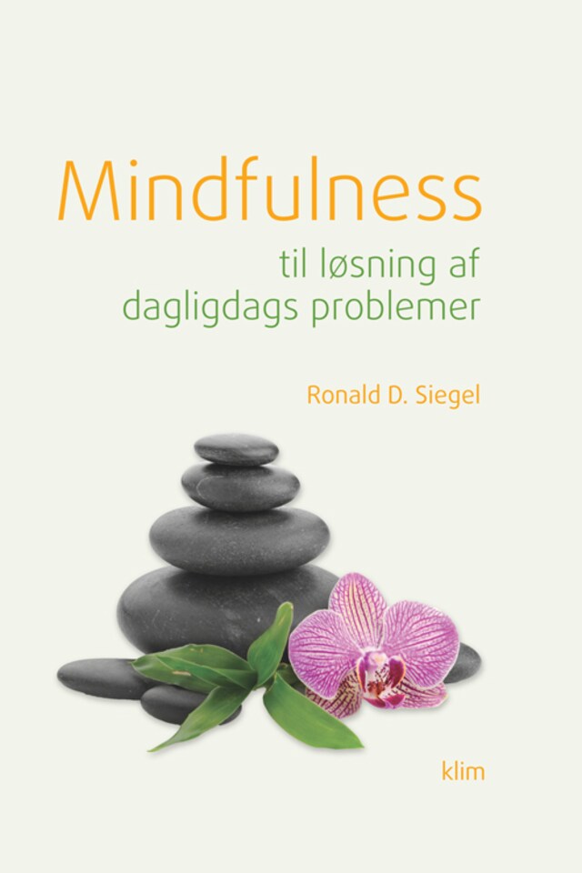 Portada de libro para Mindfulness til løsning af dagligdags problemer