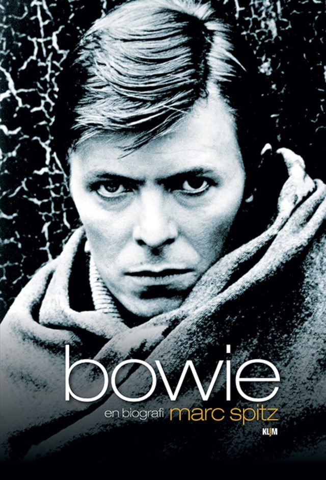 Bogomslag for Bowie