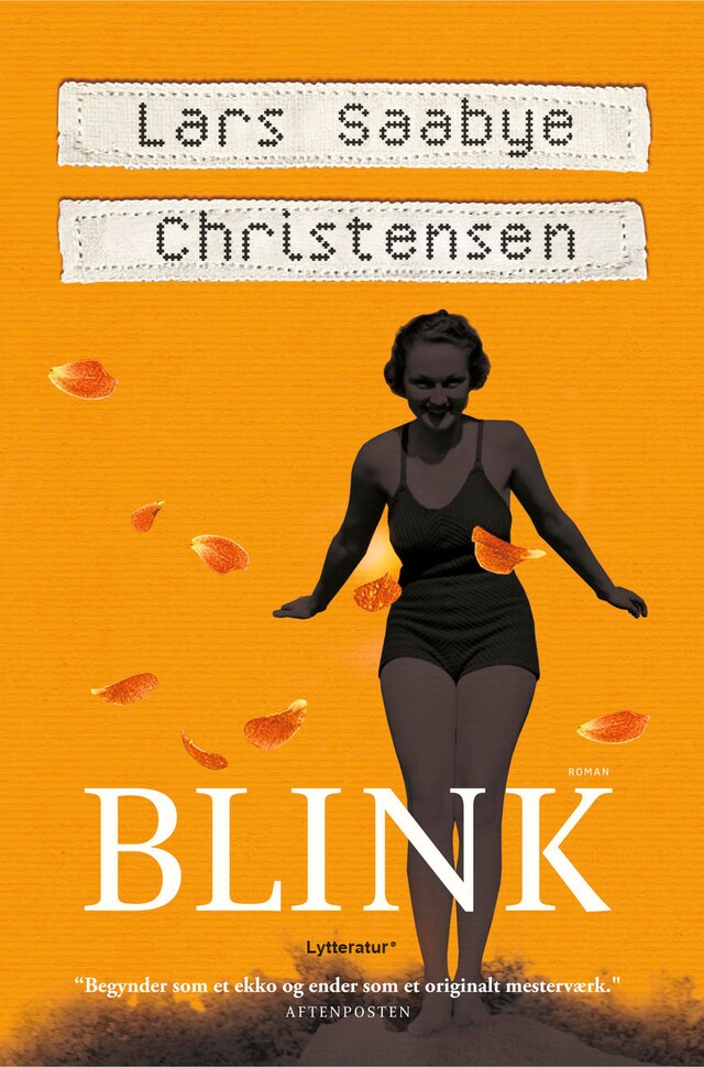Buchcover für Blink