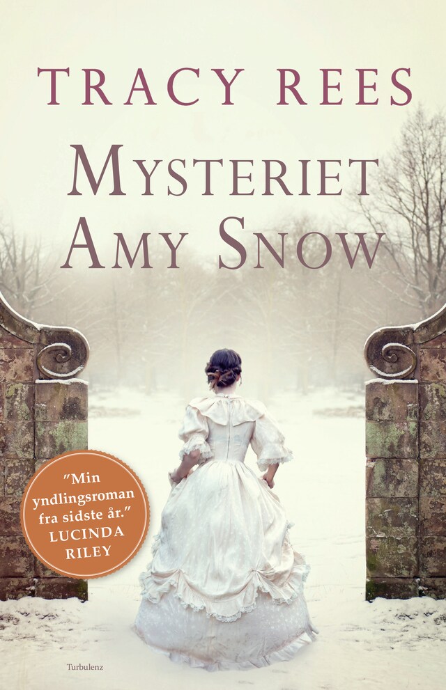 Buchcover für Mysteriet Amy Snow