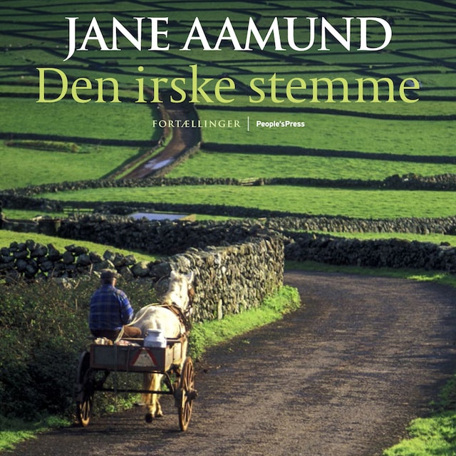 Book cover for Den irske stemme