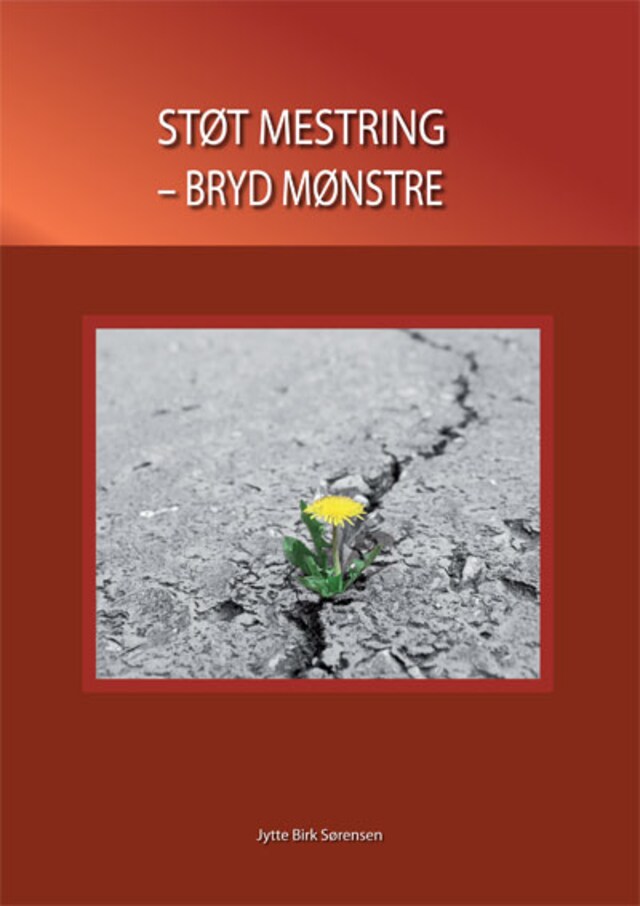 Book cover for Støt mestring - bryd mønstre