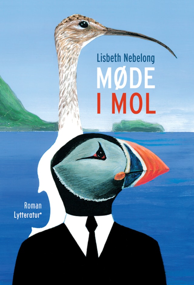 Book cover for Møde i mol