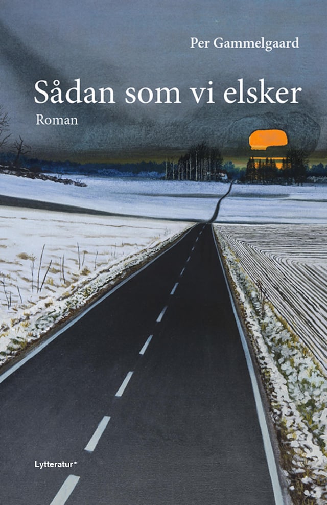 Okładka książki dla Sådan som vi elsker