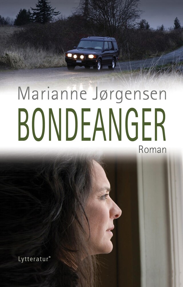 Book cover for Bondeanger