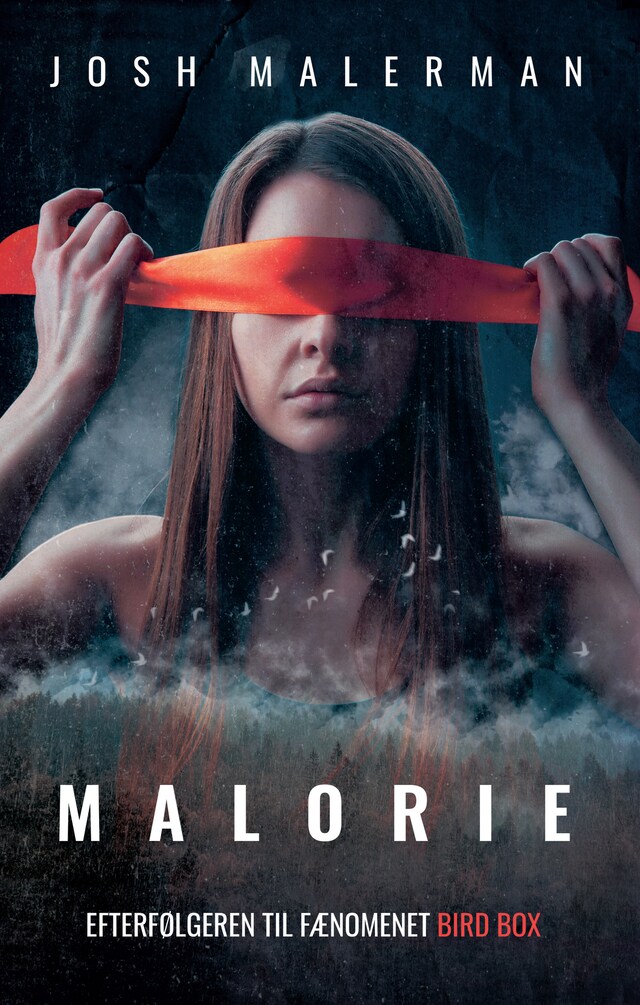Book cover for Malorie