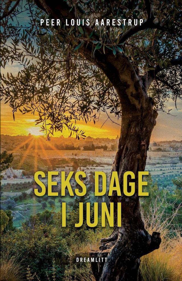 Buchcover für Seks dage i juni