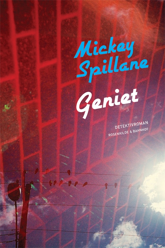 Book cover for Geniet
