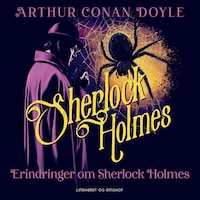Erindringer om Sherlock Holmes