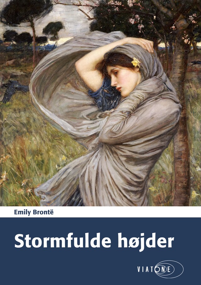 Okładka książki dla Stormfulde højder