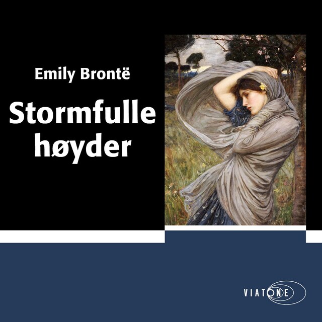 Bokomslag for Stormfulle høyder