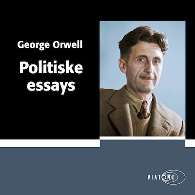 Politiske essays