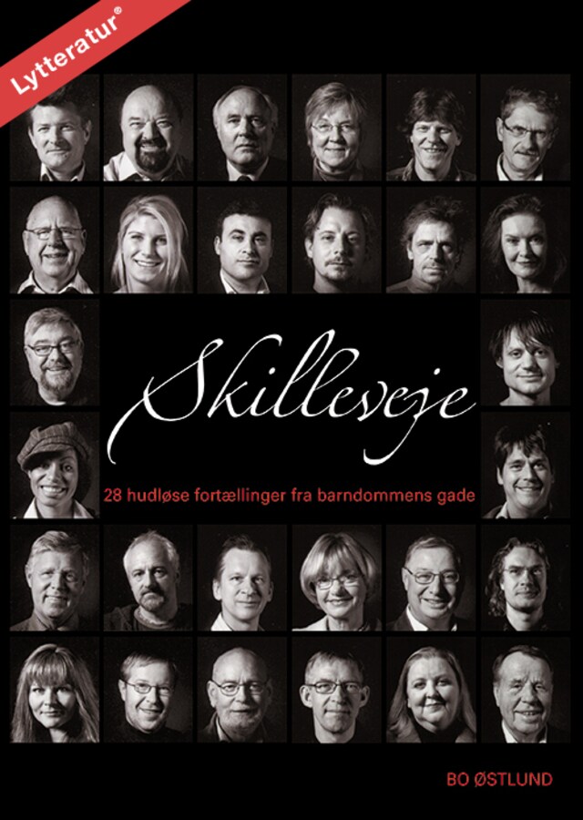 Book cover for Skilleveje