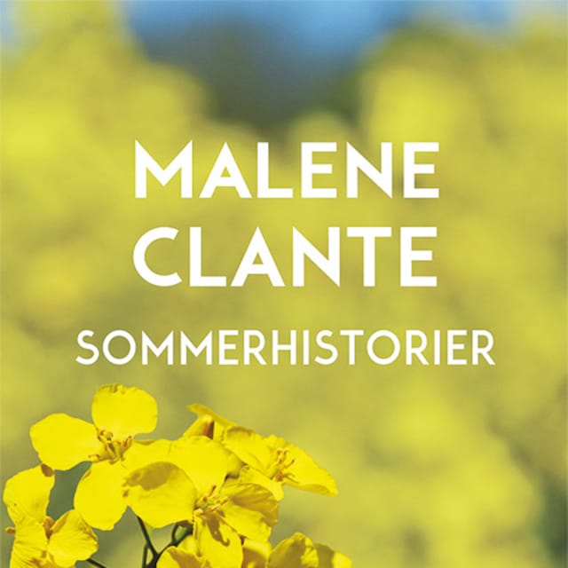 Book cover for Sommerhistorier