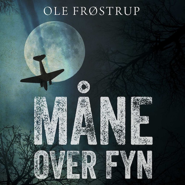 Book cover for Måne over Fyn