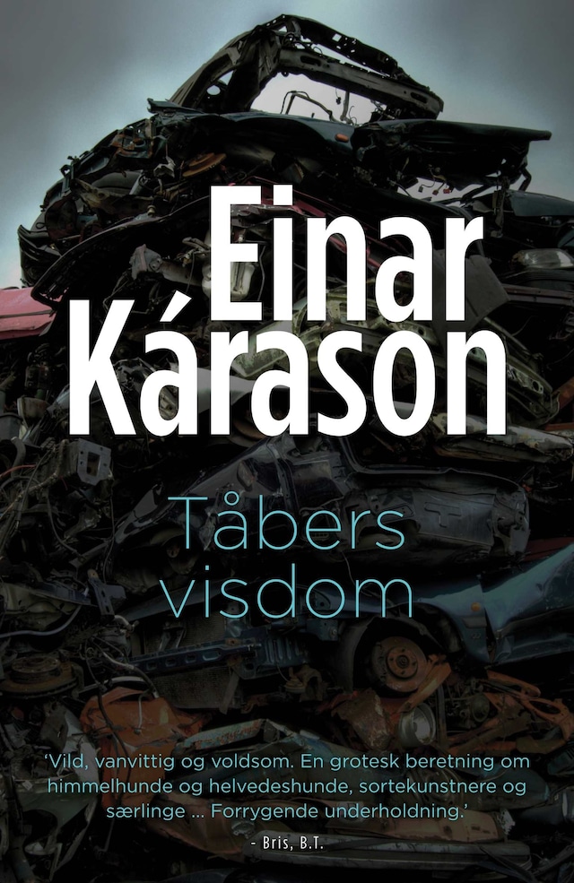 Book cover for Tåbers visdom