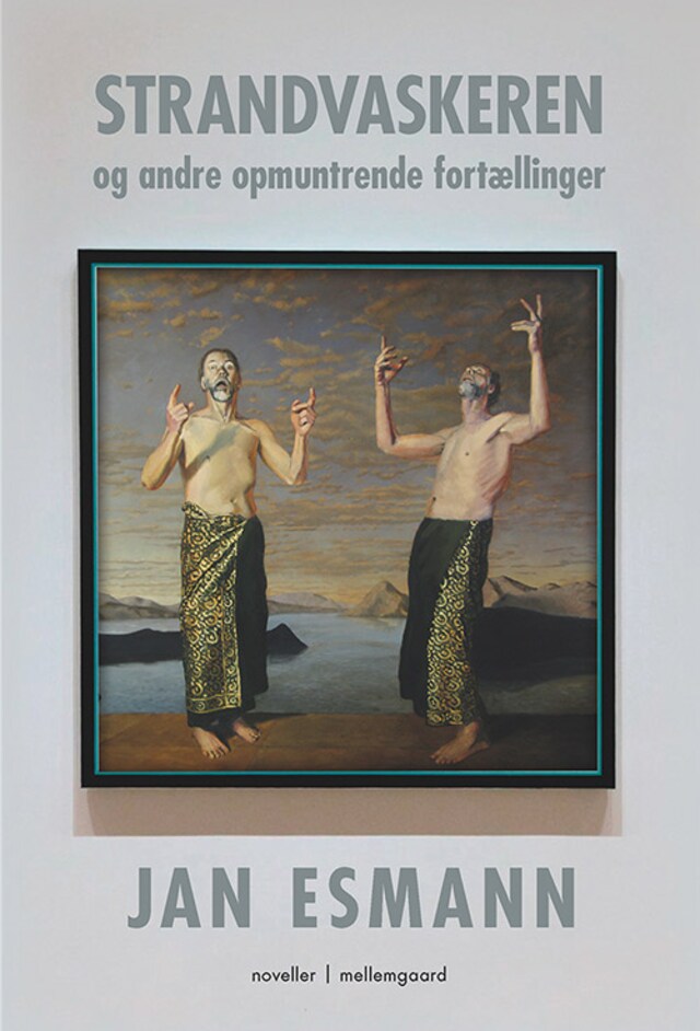 Buchcover für Strandvaskeren og andre opmuntrende fortællinger