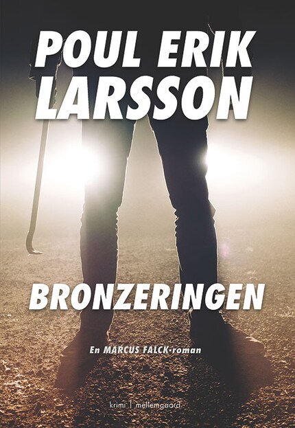 BRONZERINGEN bookCoverFor