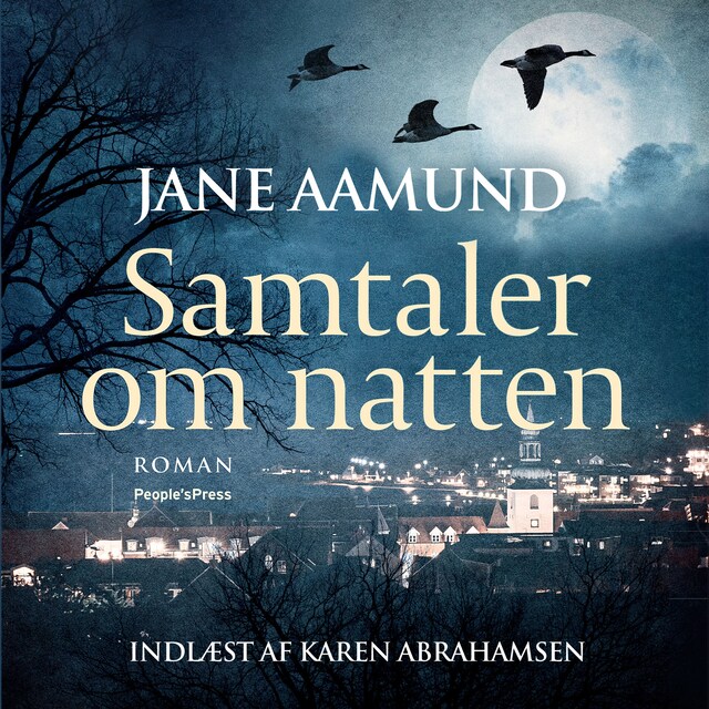 Buchcover für Samtaler om natten